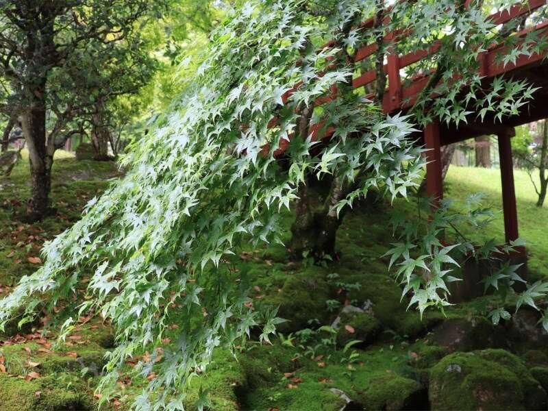 Yumoto Ueyama Ryokan Himeji Bagian luar foto